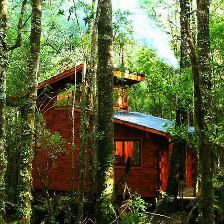 Cabañas Bosque Milenario Coñaripe Exterior foto