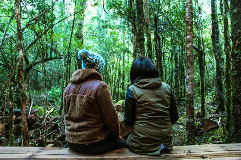 Cabañas Bosque Milenario Coñaripe Exterior foto