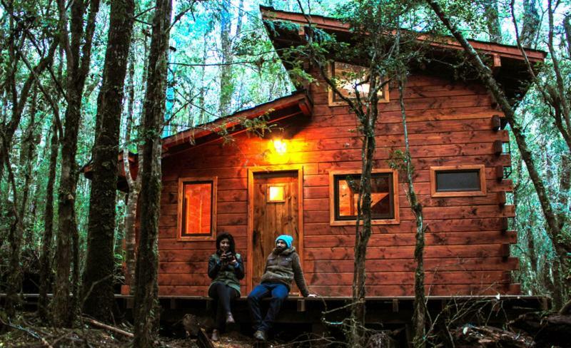 Cabañas Bosque Milenario Coñaripe Exterior foto