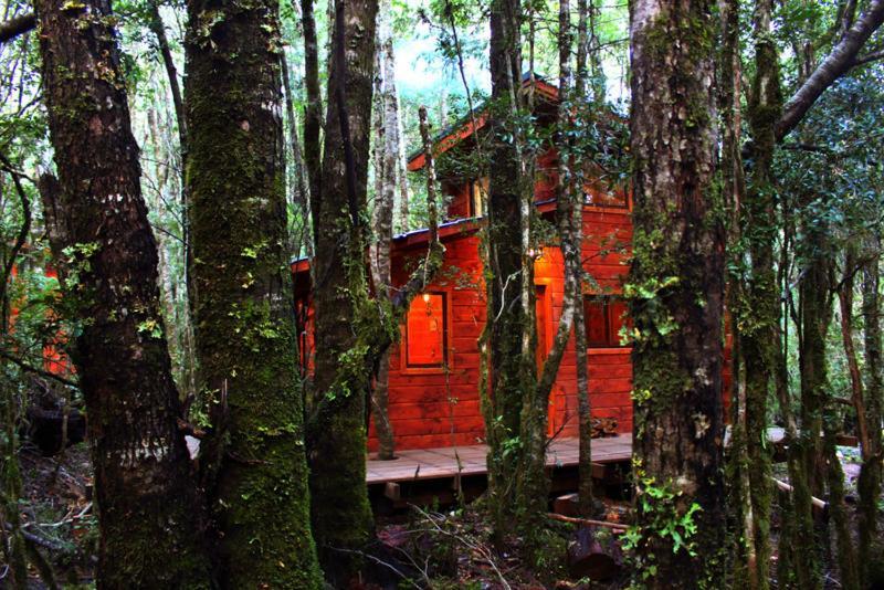 Cabañas Bosque Milenario Coñaripe Exterior foto