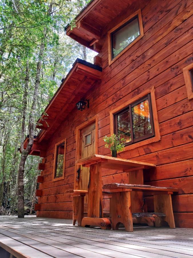 Cabañas Bosque Milenario Coñaripe Exterior foto